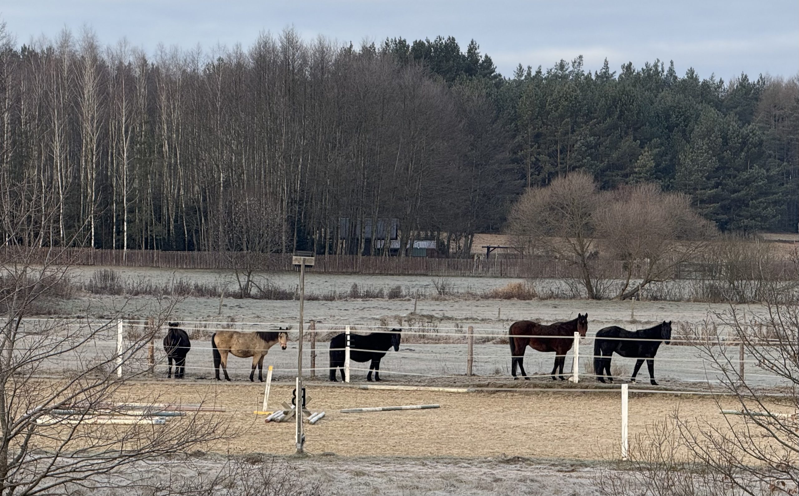 🐎 Nauka jazdy konnej