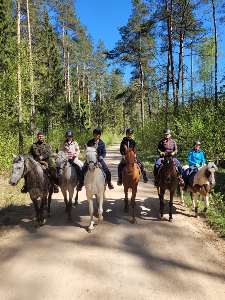 🌲 Tereny i rajdy konne