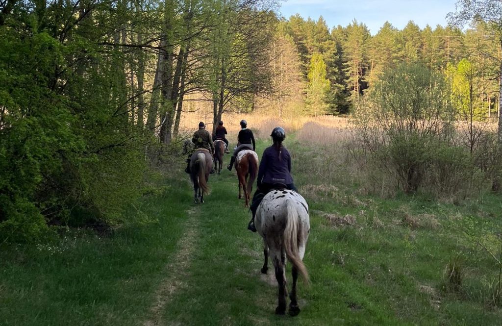 🌲 Tereny i rajdy konne